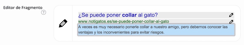 Editor SEO